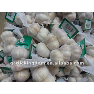 5.5cm Normal white garlic/Fresh garlic/Purple garlic